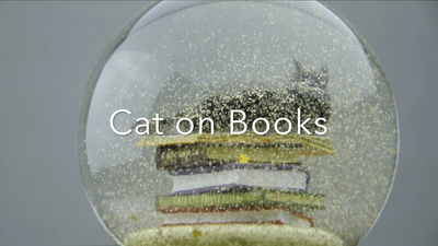 Cat on Books