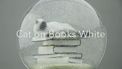 Cat on Books White