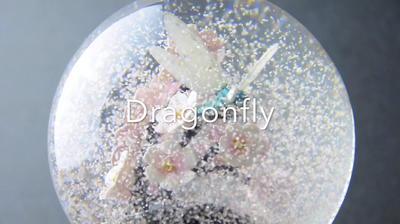 Dragonfly Snow Globe Video