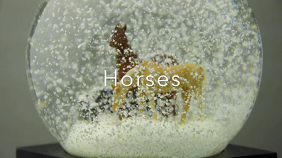 Horses Snow Globes