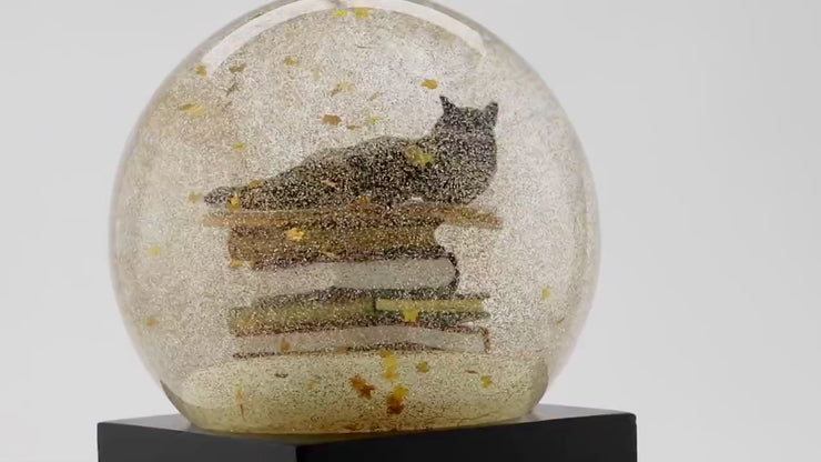 COOLGLOBES スノードーム Cat on Book 気泡あり Cat on Books Snow Globe – CoolSnowGlobes