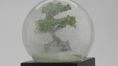 Bonsai Snow Globe