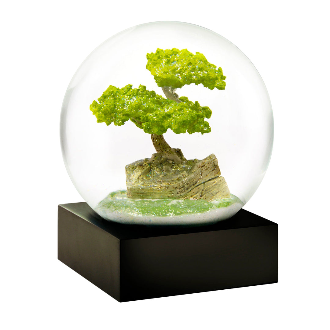 Featured Collection – CoolSnowGlobes