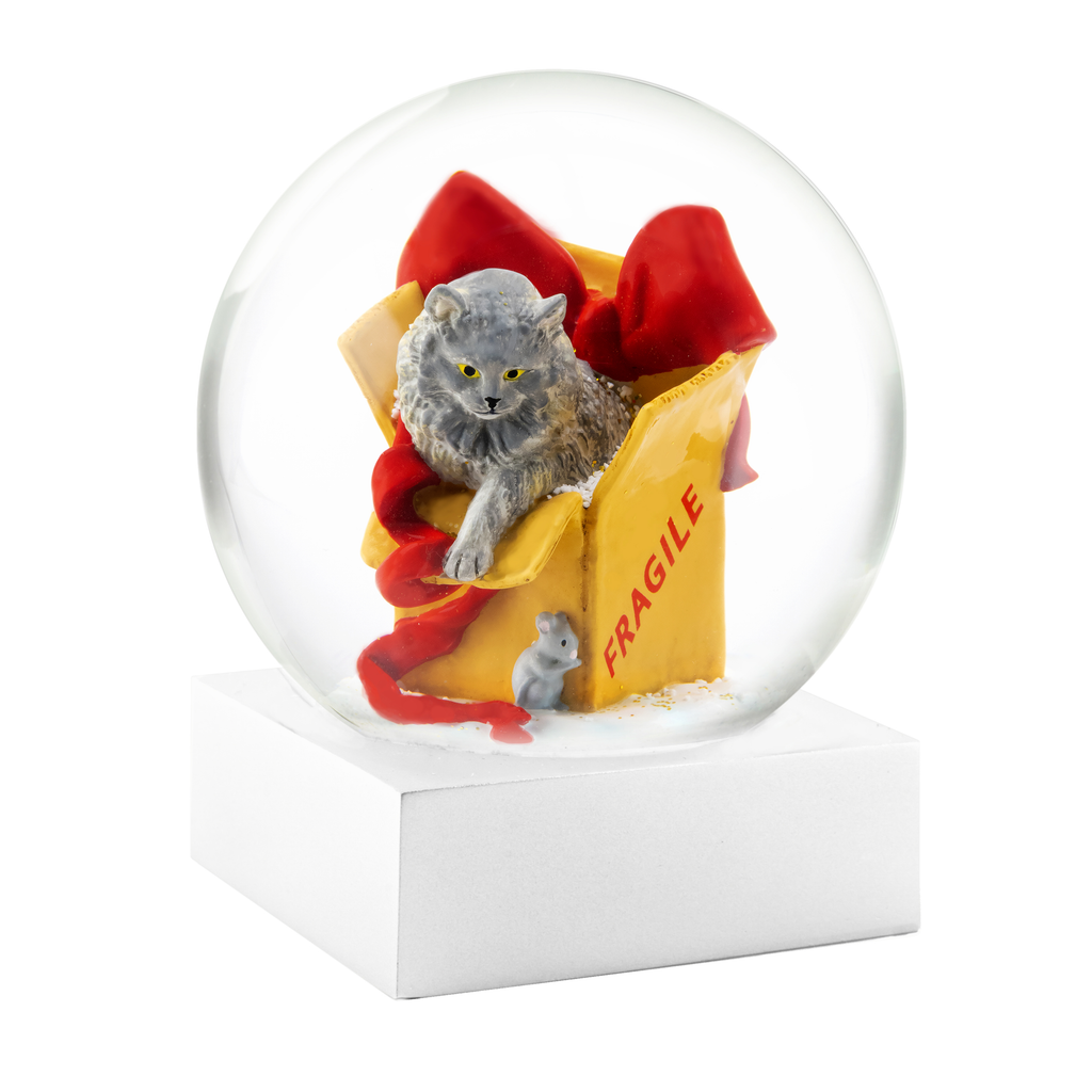 Cat in Box Snow Globe – CoolSnowGlobes